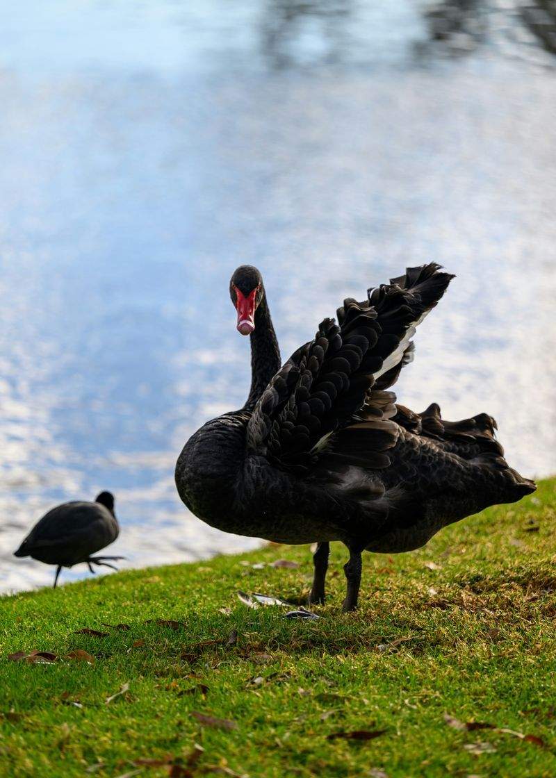 Sådan Bruger Du Teknologi til At Drive Salg